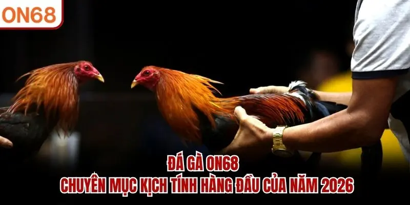 đá gà on68