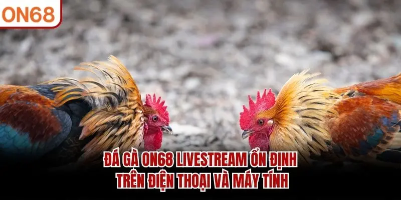 Đá Gà ON68 livestream ổn định trên điện thoại và máy tính