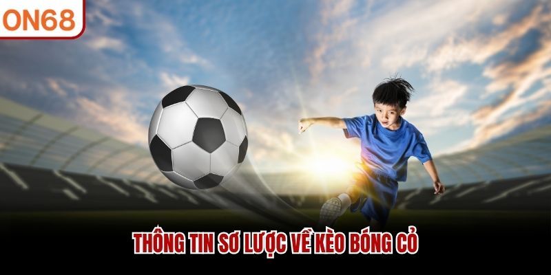 Thông tin sơ lược về kèo bóng cỏ