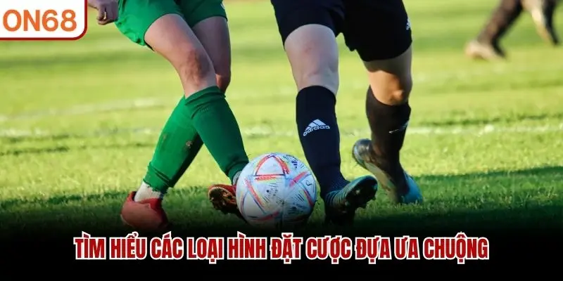 Tìm hiểu các loại hình đặt cược đựa ưa chuộng