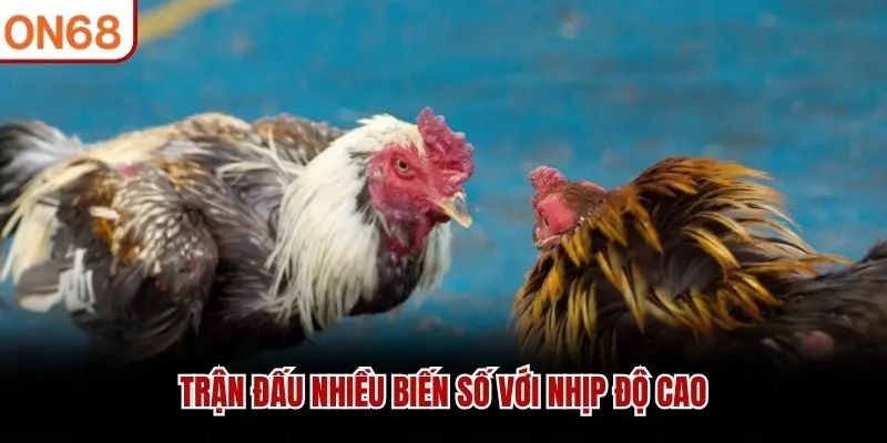 Trận đấu nhiều biến số với nhịp độ cao 